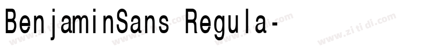 BenjaminSans Regula字体转换